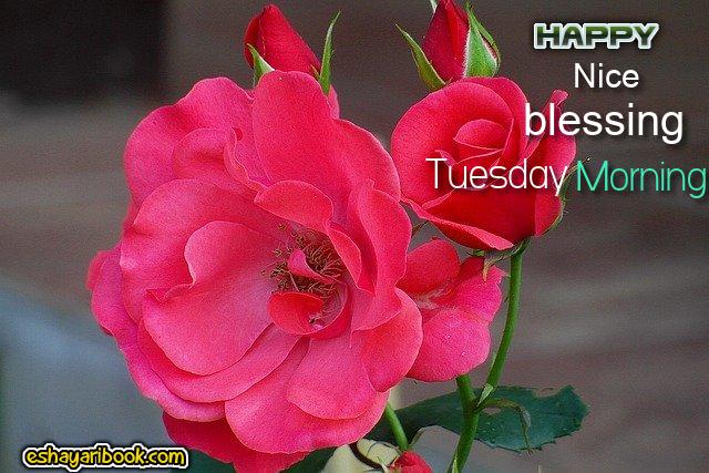 Tuesday blessing best quotes